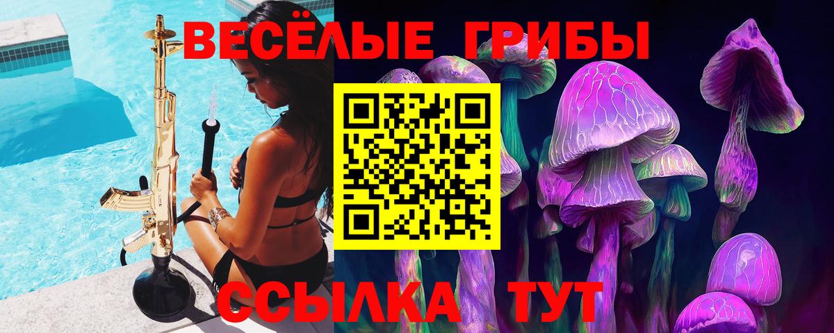 Галлюциногенные грибы прущие грибы Камень-на-Оби