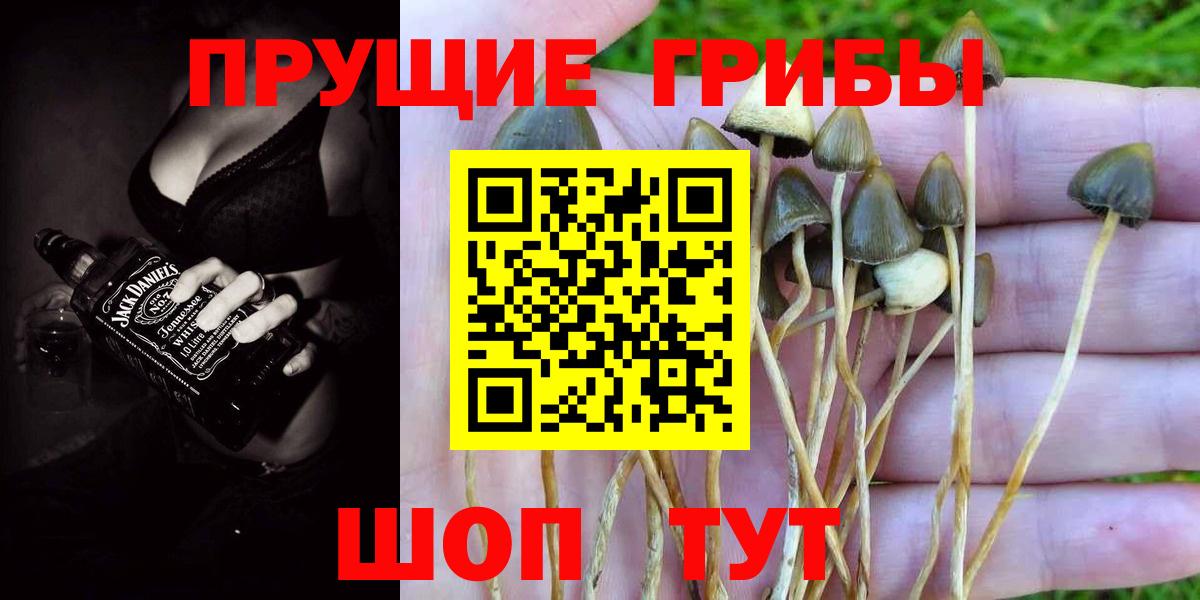 Псилоцибиновые грибы ЛСД  Галлюциногенные грибы прущие грибы  Камень-на-Оби  Вход с VPN 